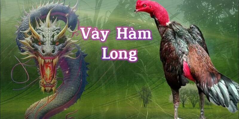 Vảy hàm long được nhiều người săn đón và định giá cao
